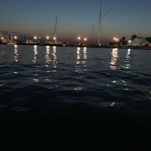 Meet your Posher, Laurynn